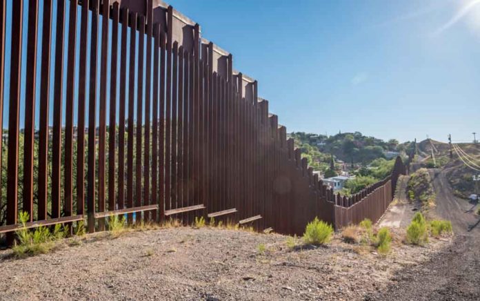 Trump's Wall Defies Pandemic